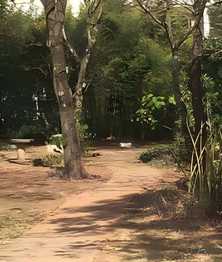 Apartamento Asa Sul - Ao lado do Parque da Cidade!