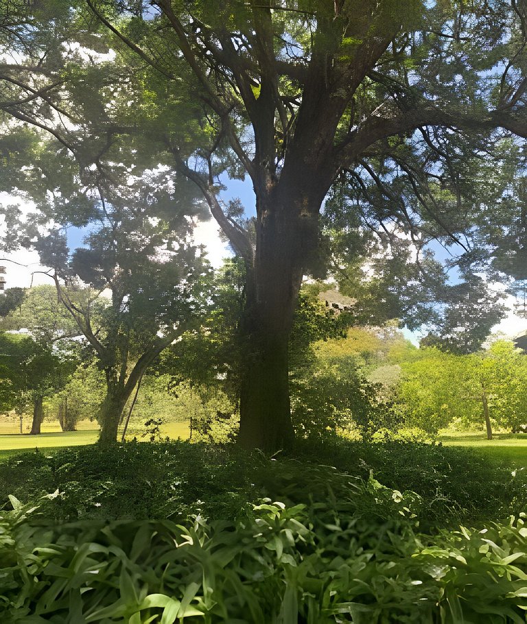 Apartamento Asa Sul - Ao lado do Parque da Cidade!
