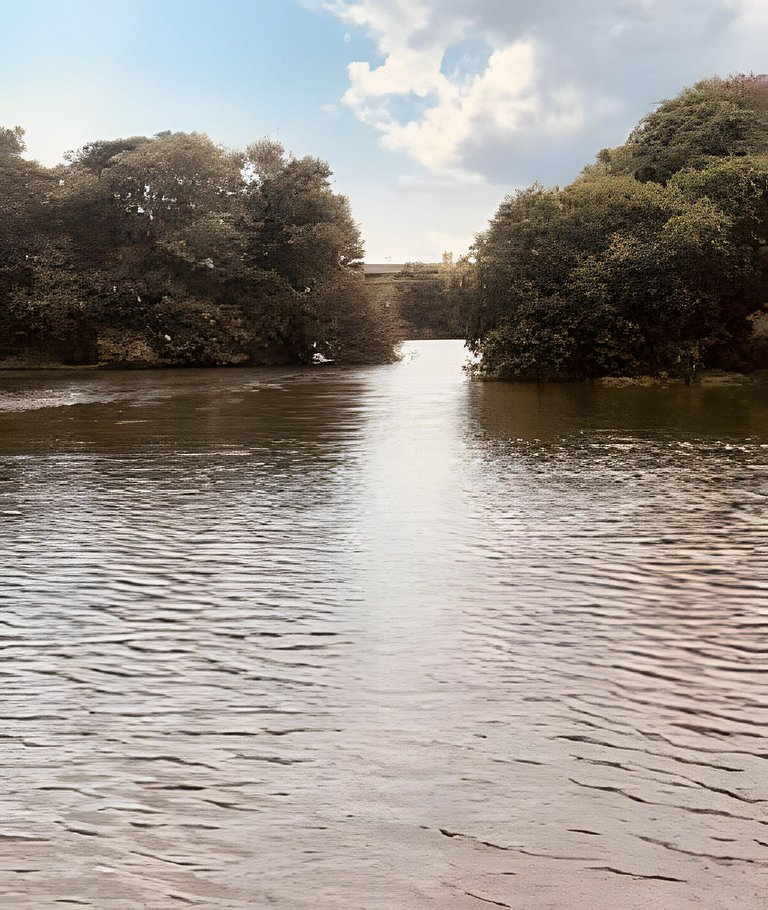 Studio 225 - Brasília Asa Sul