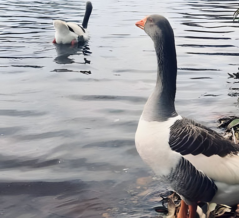 Studio 225 - Brasília Asa Sul