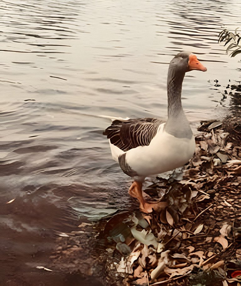 Studio 225 - Brasília Asa Sul