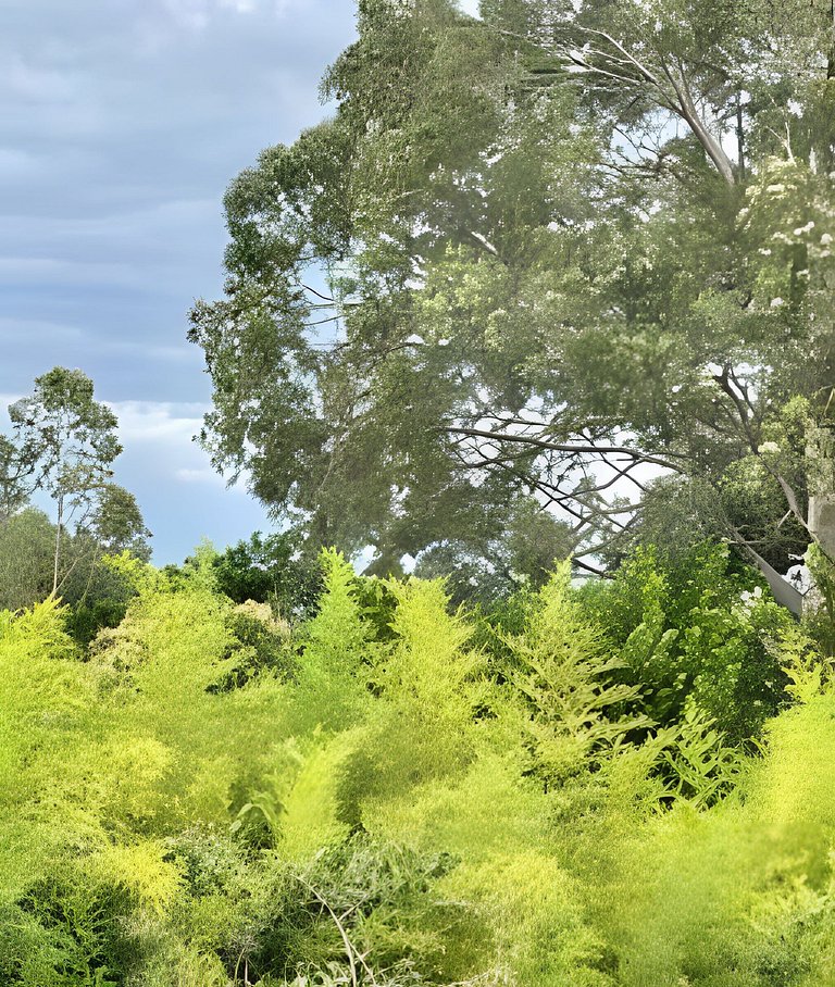 Studio Asa Sul Brasília