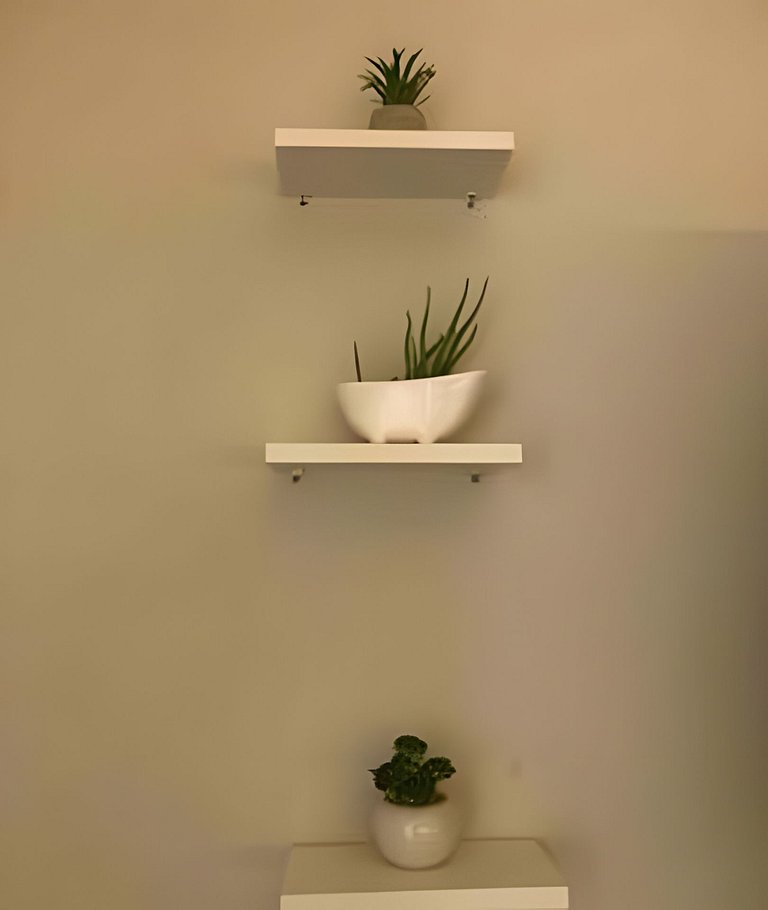 Brasília Studio - Tecnologia & Cia.