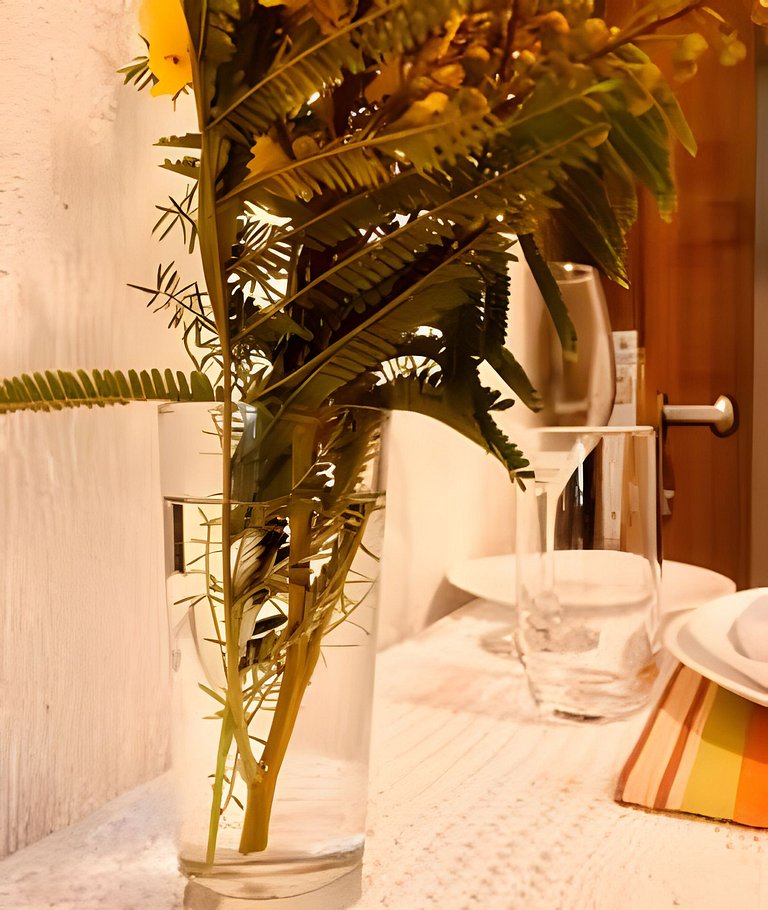 Bouganville Studio Brasília