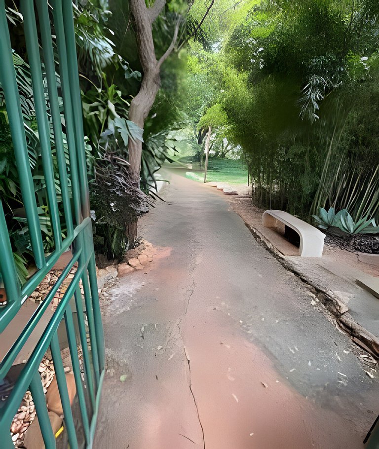 Bouganville Studio Brasília