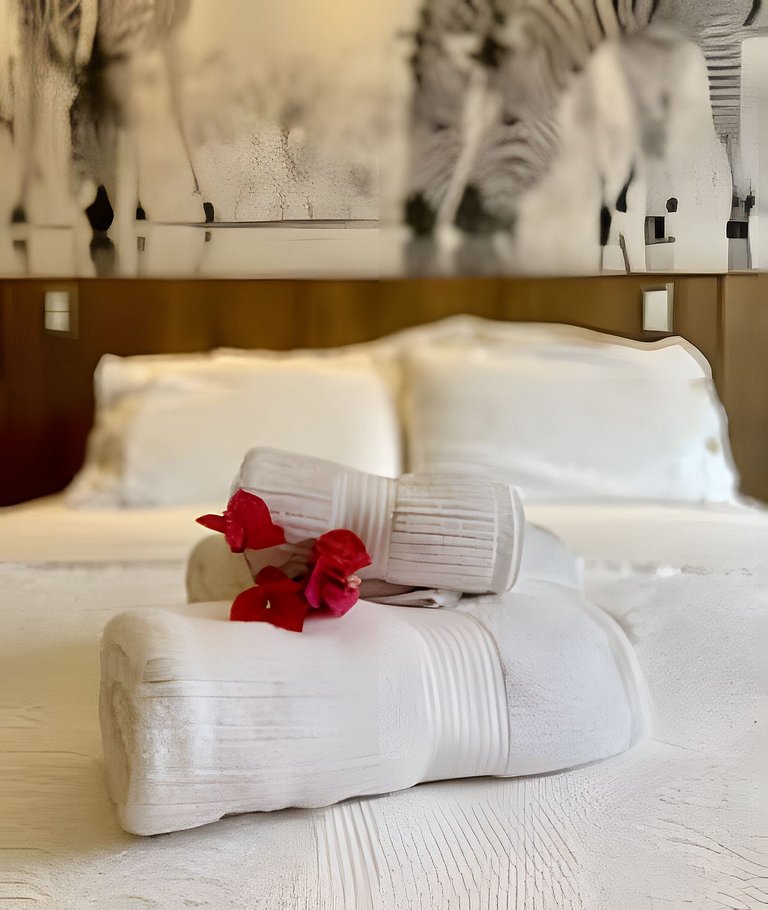 Studio Brasília 122