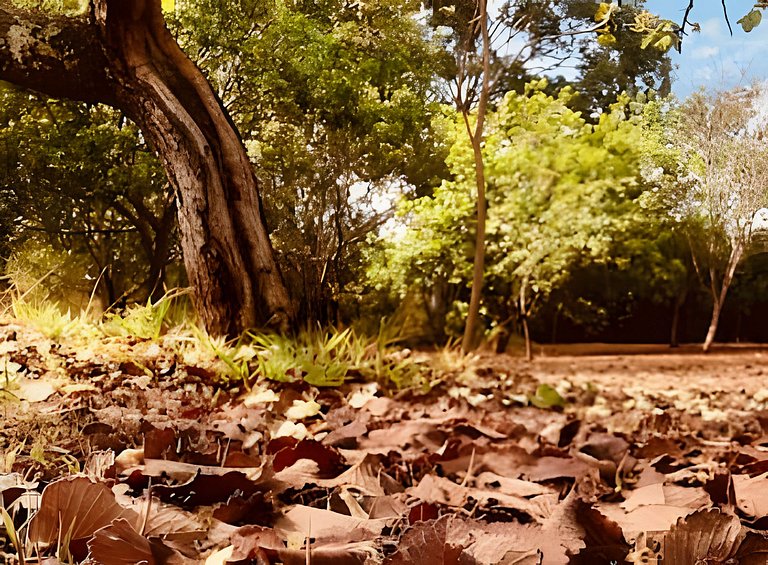 Studio Brasília 122